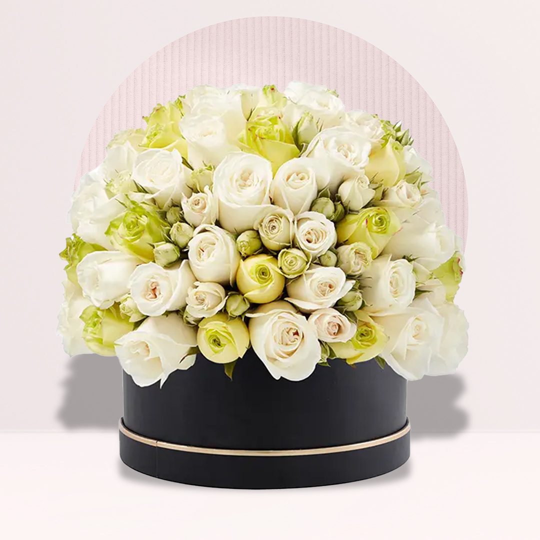 24 (4) 75 to 80 ivory white and light green roses arranged in a black round flower box