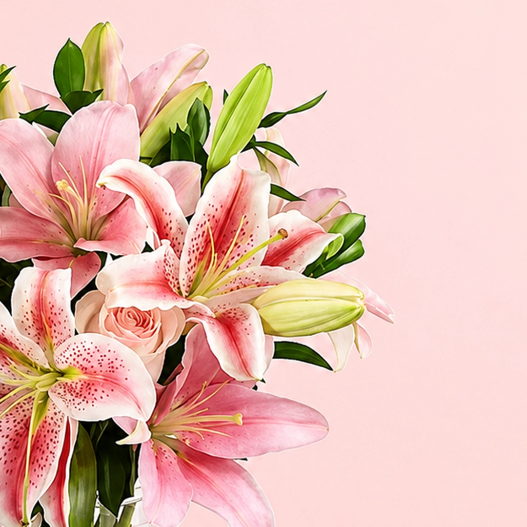stargazer-pink-illy-rose-vase_2026_02