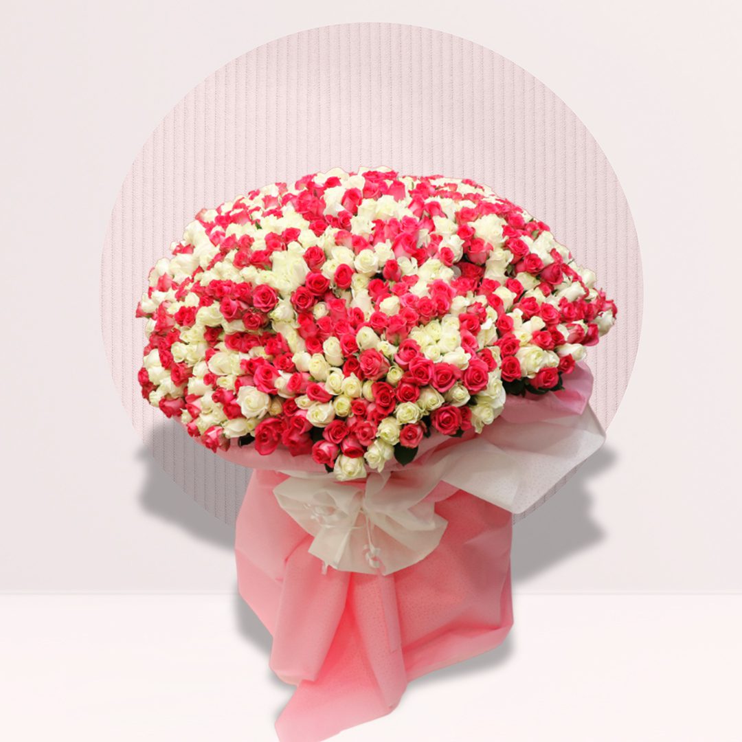 1 (37) Extra-large bouquet of 300 red and white spray roses with pink and white wrapping.