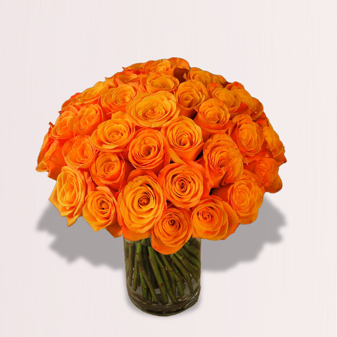 Orange Rose Vase Orange Rose