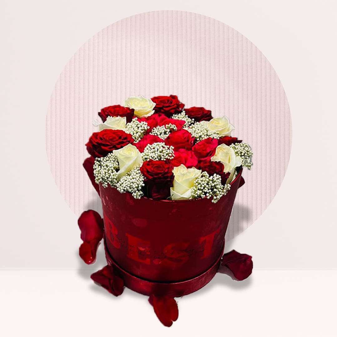 1 (74) Red and white roses with baby’s breath in a red round flower box