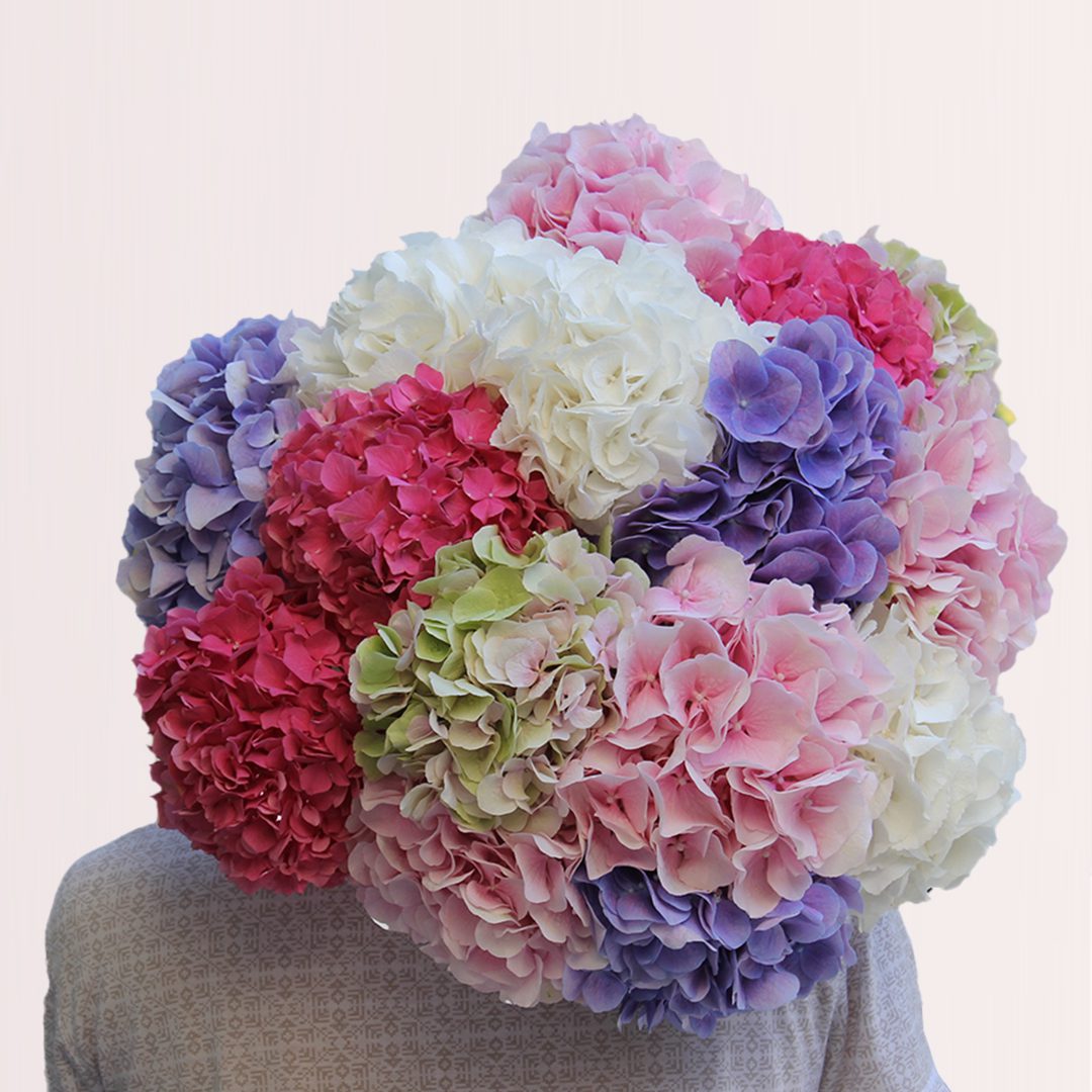 Colour Full Bouquet Colour Full Flowers