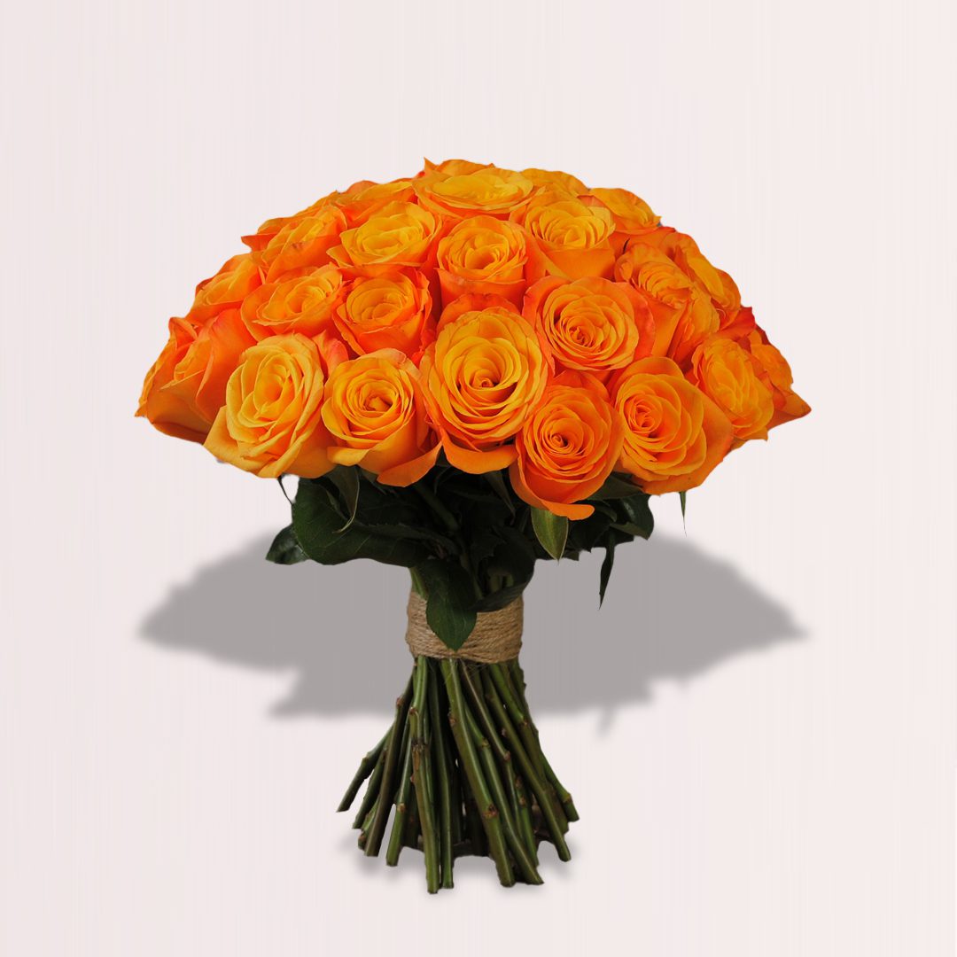 Orange Rose Vase Orange Rose