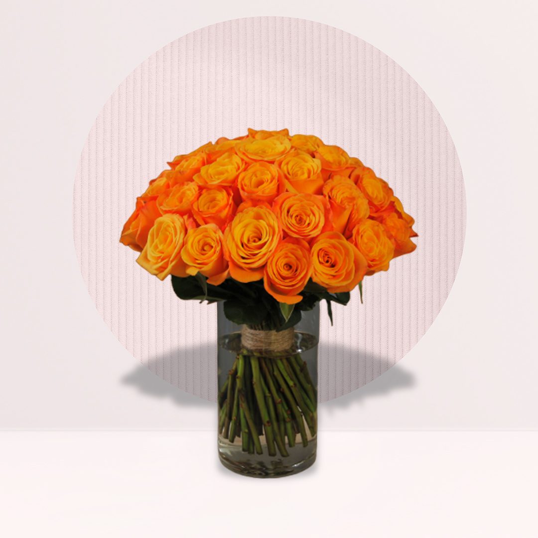 Orange Rose Vase Orange Rose