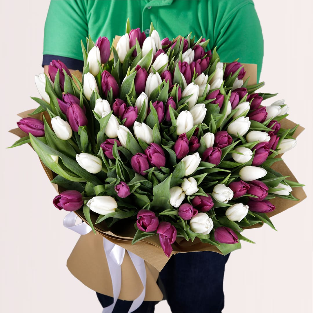 8 Hand bouquet of 50 purple and 50 white tulips in elegant wrapping.