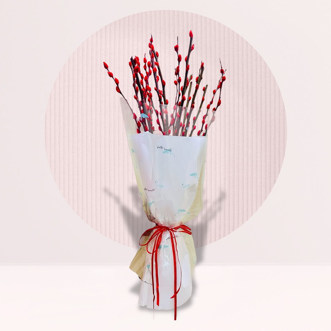 1 order pussywillow bouquet online