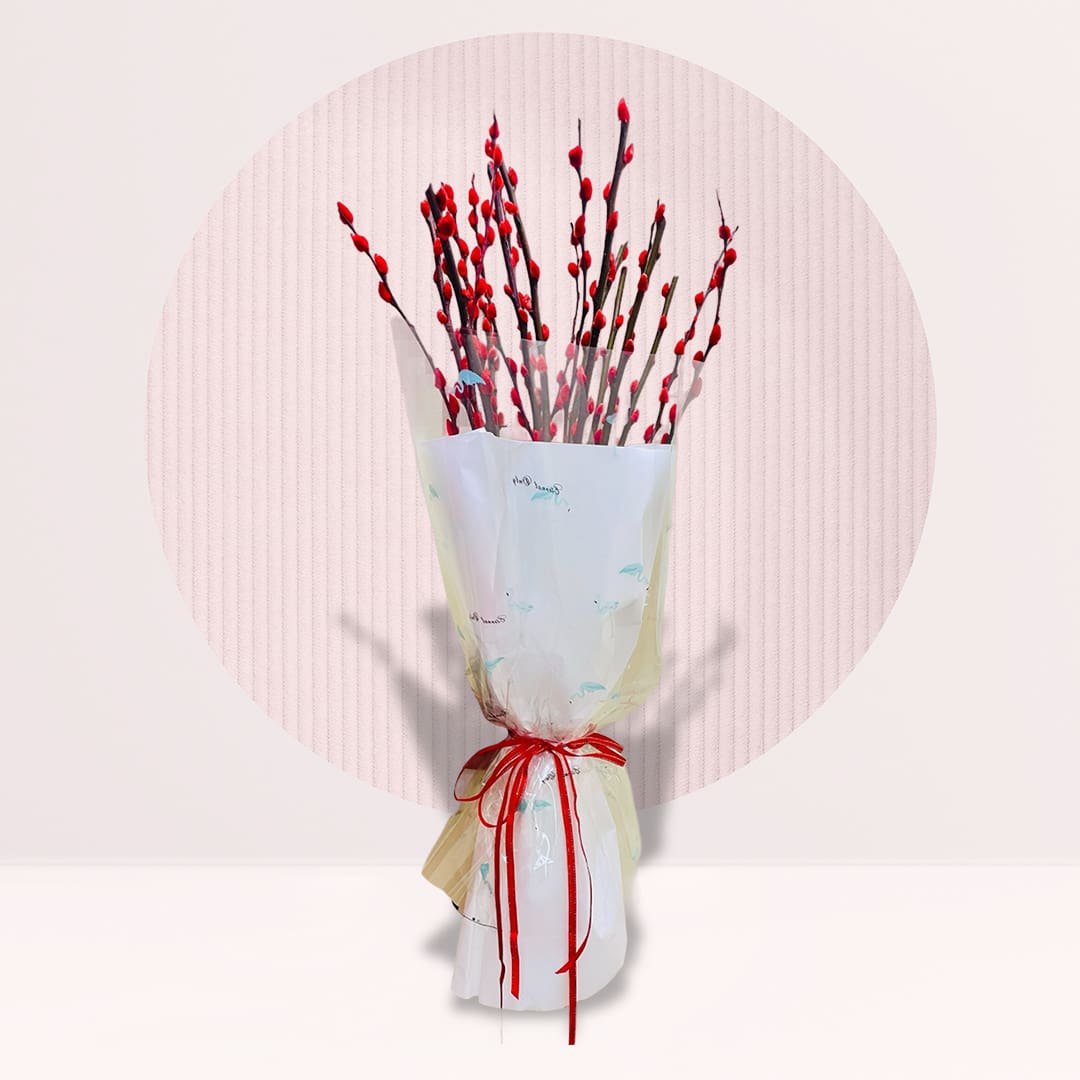 1 order pussywillow bouquet online