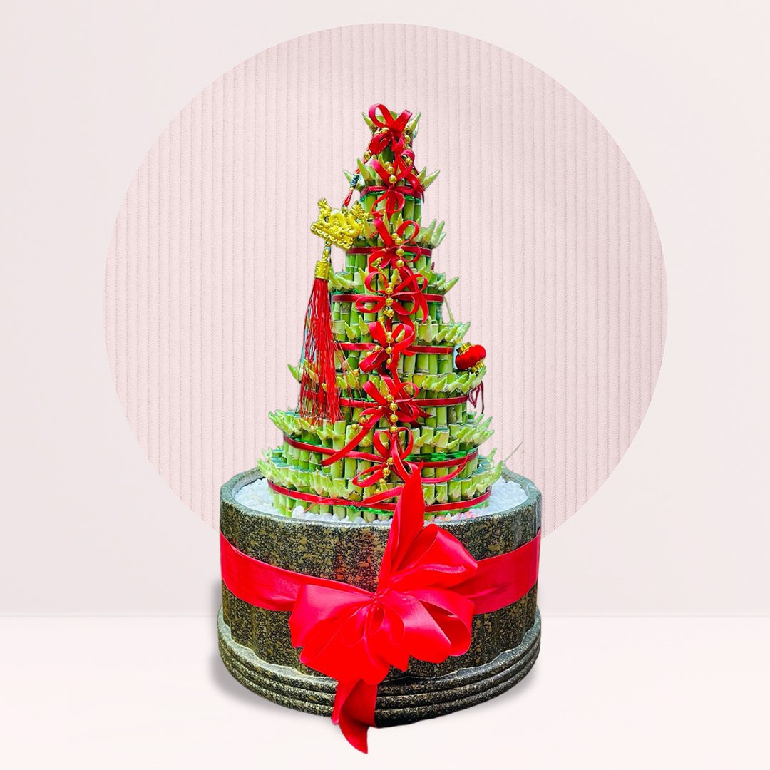 13 order luck bamboo ceramic pot online
