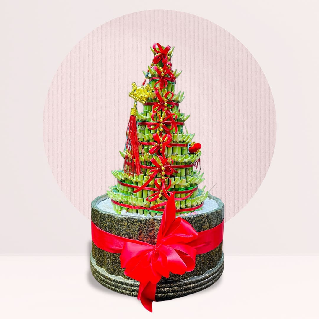 13 order luck bamboo ceramic pot online