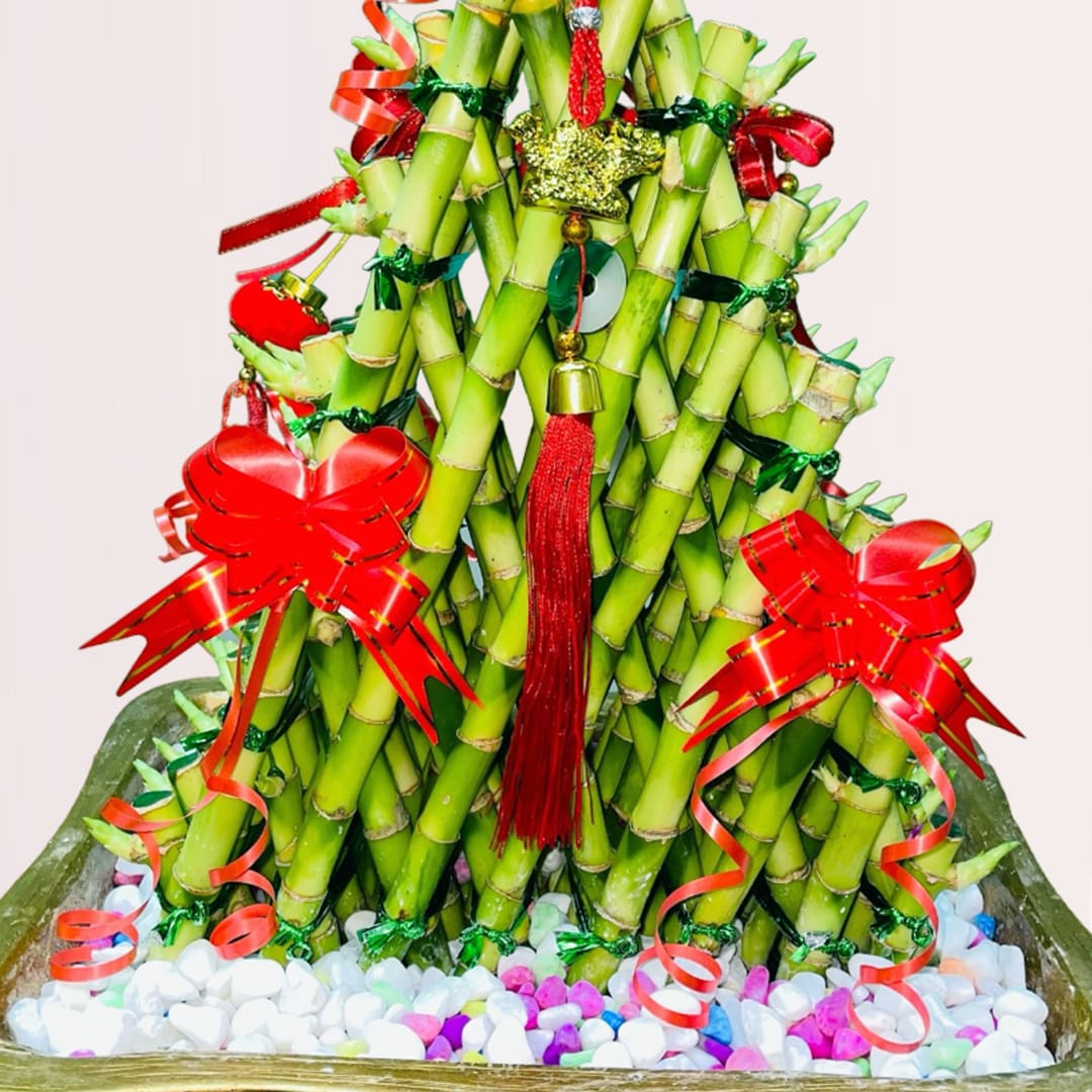 17 shop bamboo plant vase online