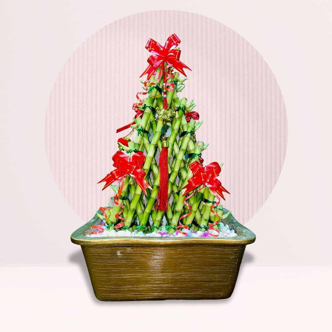 18 order bamboo plant vase online