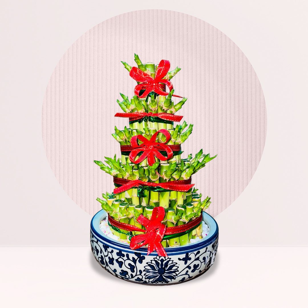 21 order bamboo flowers vase online