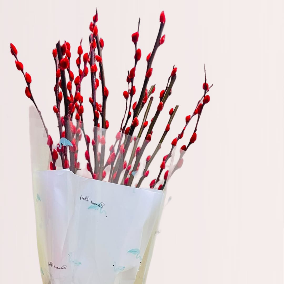 3 shop pussywillow bouquet