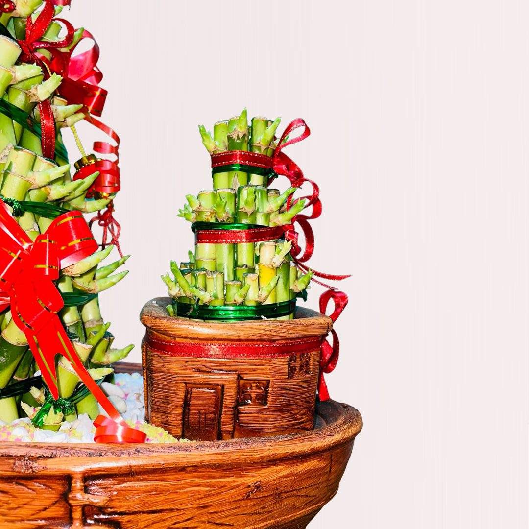 32 (1) shop bamboo lucky plant online