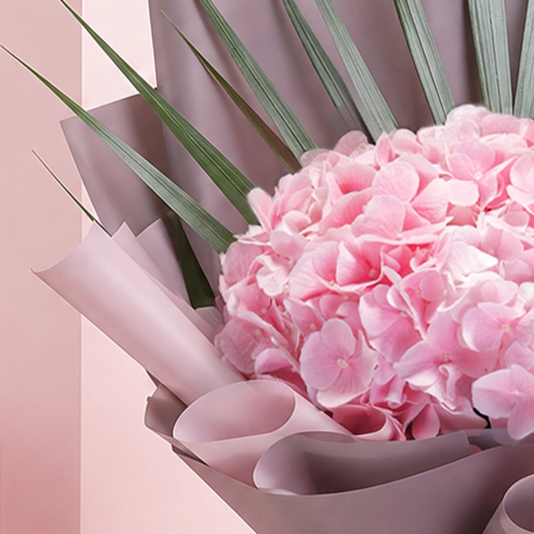 sweet-hydrangea-delight_2026_02
