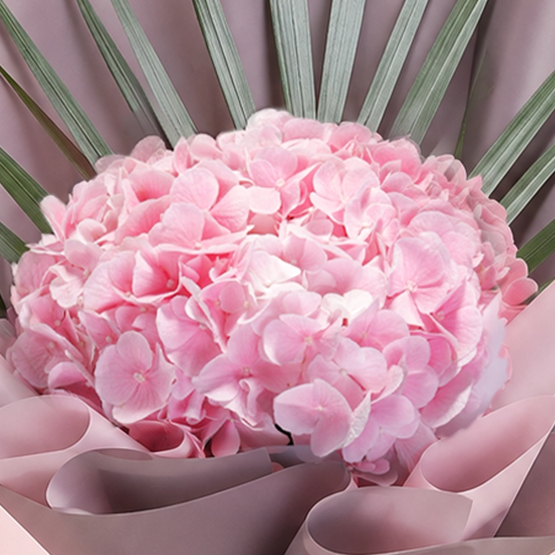 sweet-hydrangea-delight_2026_04