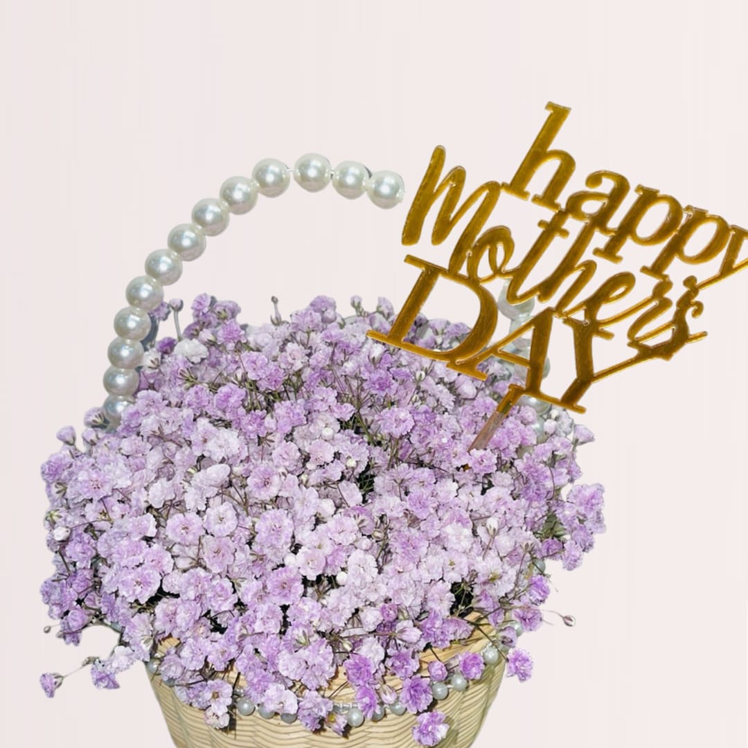 2 (26) send baby breath basket in kl