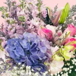 blue-hydrangea-orchid-box_2026_04
