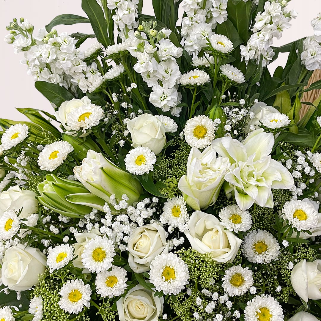 2 (256) send funeral flowers kl