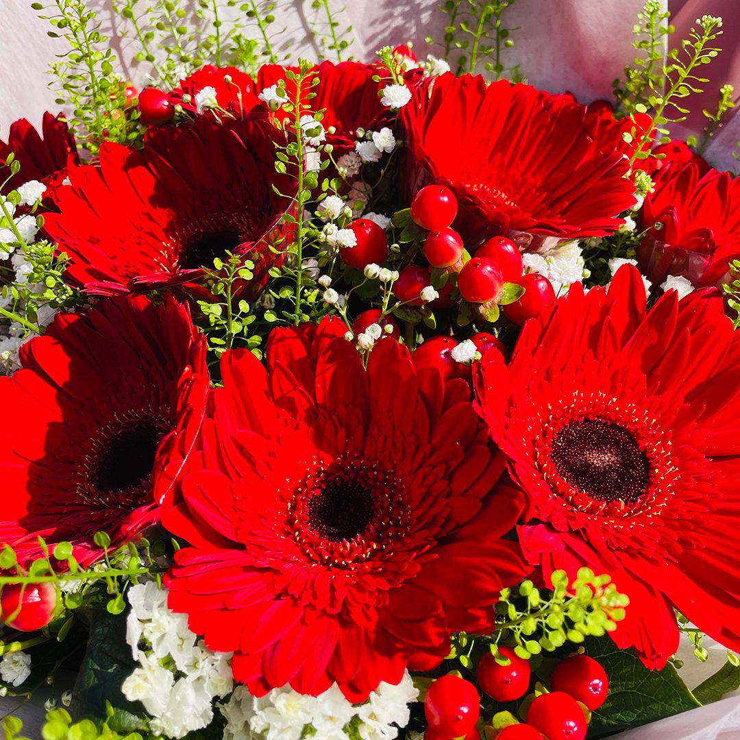 3 (208) buy gerbera flowers