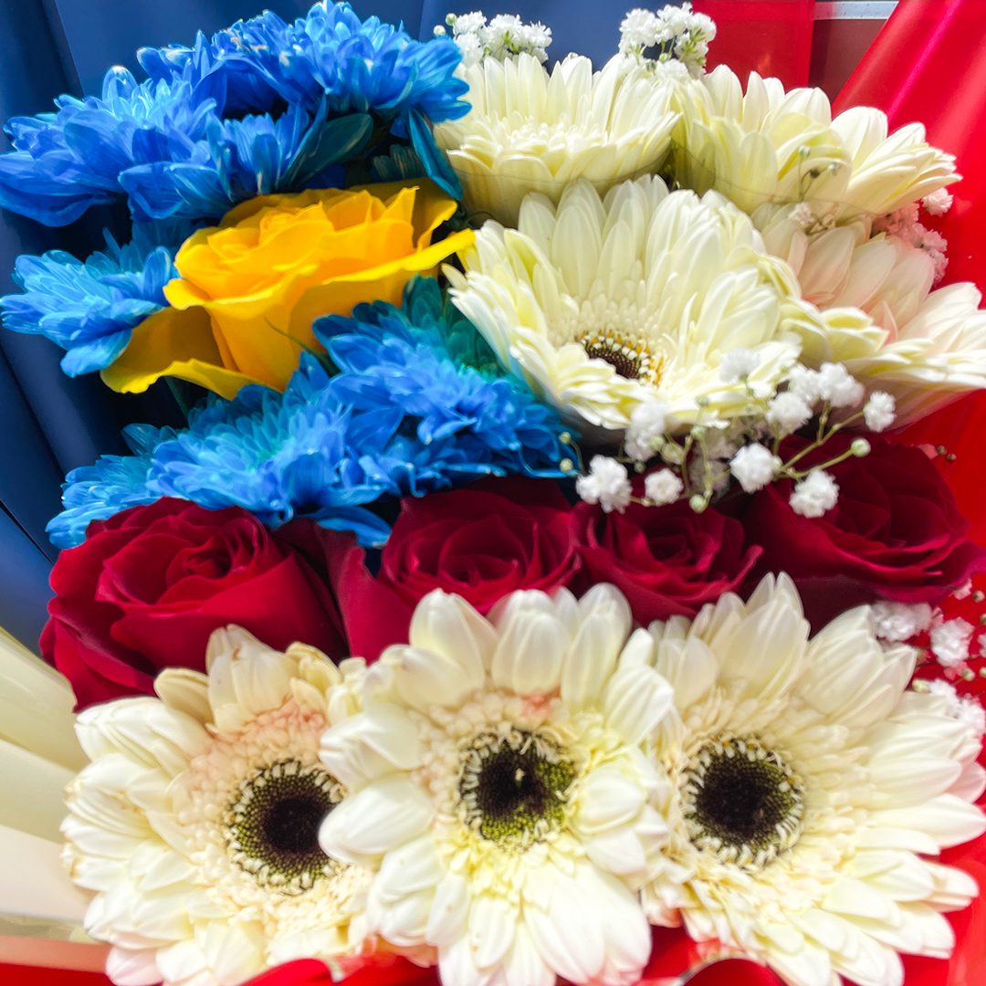 3 (225) send gerbera flowers in kl