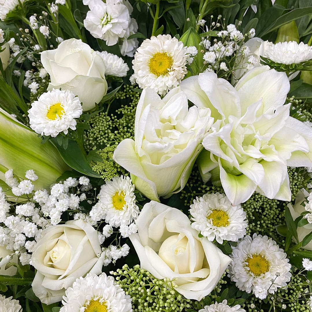 3 (247) send condolence flowers kl