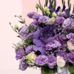lavender-rose-symphony_2026_02