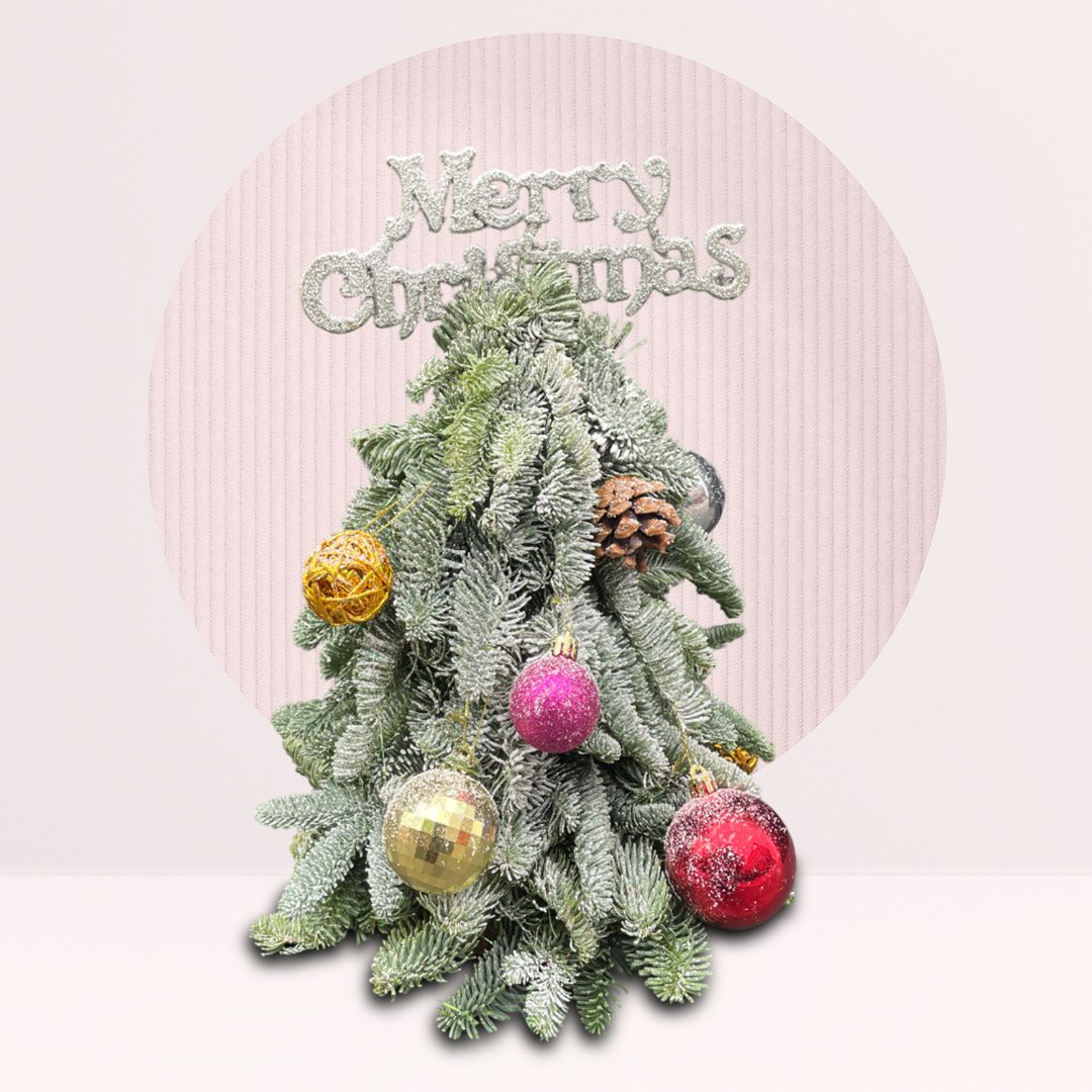 1 (355) order mini christmas tree online