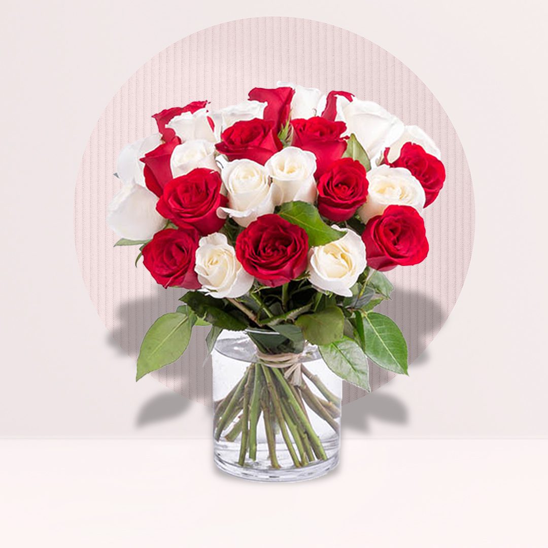 Experience the charm of love with our Lovely Red and White Roses bouquet, featuring 8 red roses, 8 white roses, presented in a cylinder vase, accompanied by a heartfelt message card