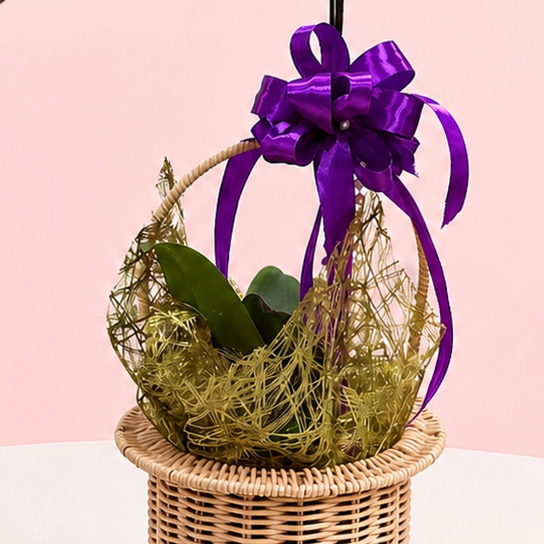 royal-orchid-bloom-basket_05