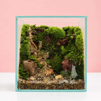 Miniature Moss Cube Garden featuring lush green moss, miniature plants, decorative pebbles, and a tiny figurine arranged inside a modern glass cube terrarium.