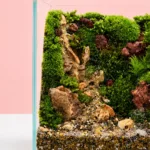 miniature-moss-cube-garden_02