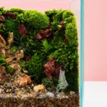 miniature-moss-cube-garden_03