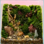 miniature-moss-cube-garden_04