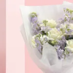 rose-and-matthiola-collection_03