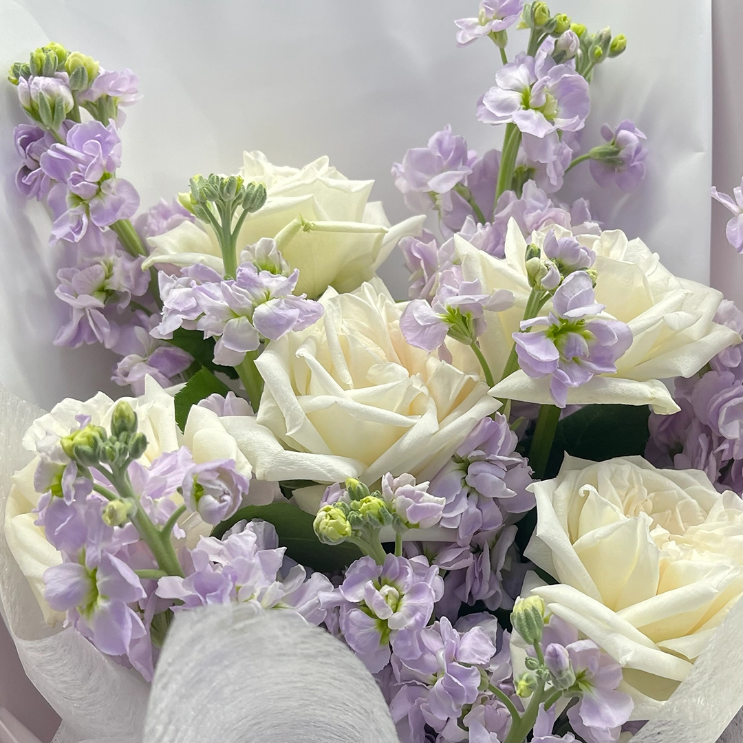 rose-and-matthiola-collection_05