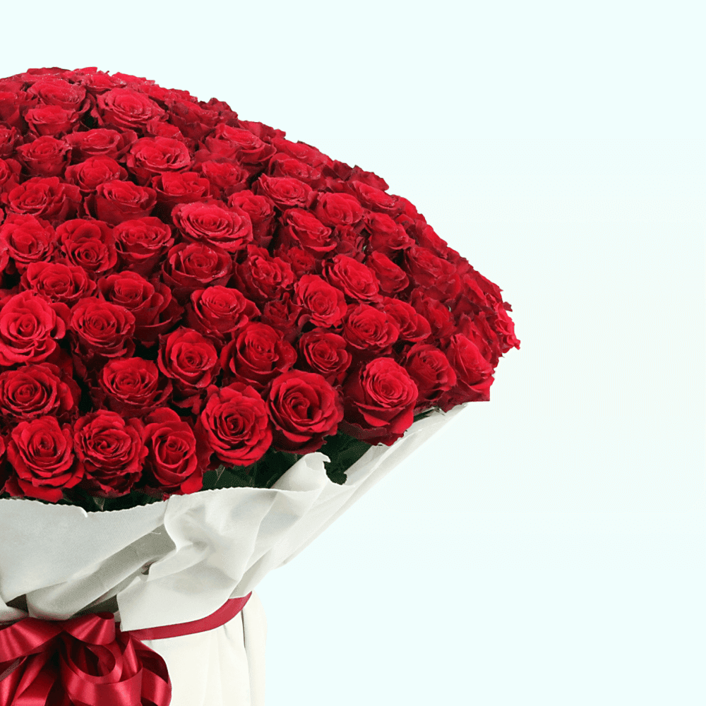 Bouquet of 500 Roses (2) Bouquet of 500 Roses