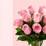 expression-of-pink_2026_02