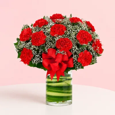 A bouquet of 12 red carnations in a chic cylinder vase, accompanied by a thoughtful message card expressing warmth and affection.