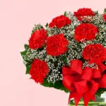 love-begin_2026_02