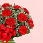 love-begin_2026_03