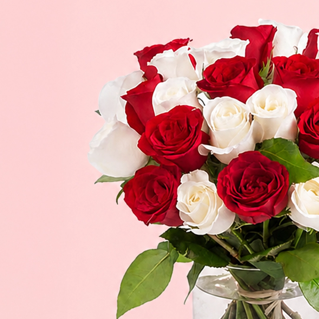 lovely-red-and-white-roses_2026_02