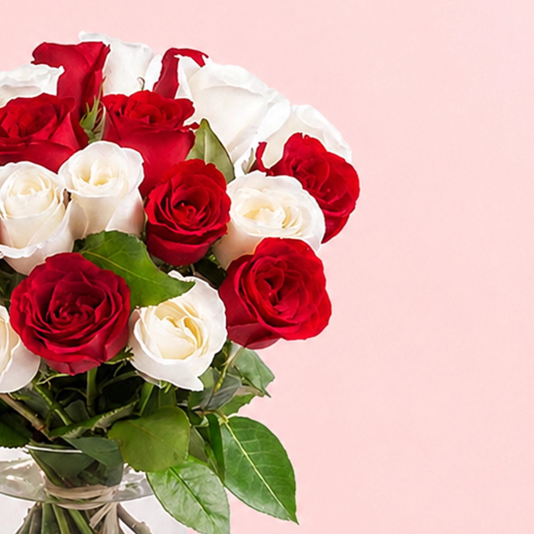 lovely-red-and-white-roses_2026_03