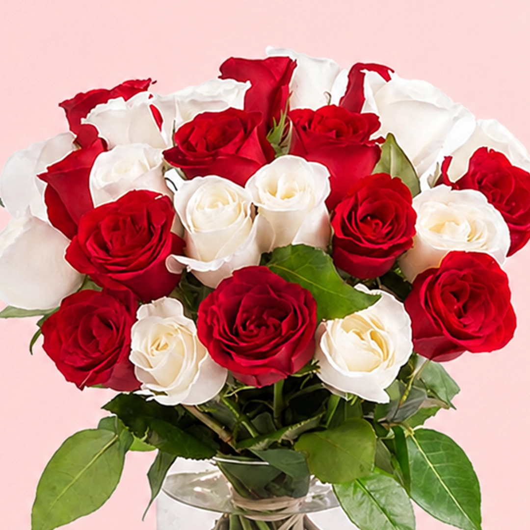 lovely-red-and-white-roses_2026_04
