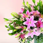 astounding-lilies_2026_02