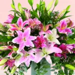 astounding-lilies_2026_04