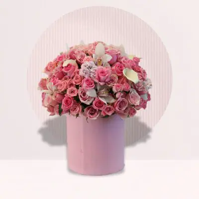 The Pink Shades of Roses