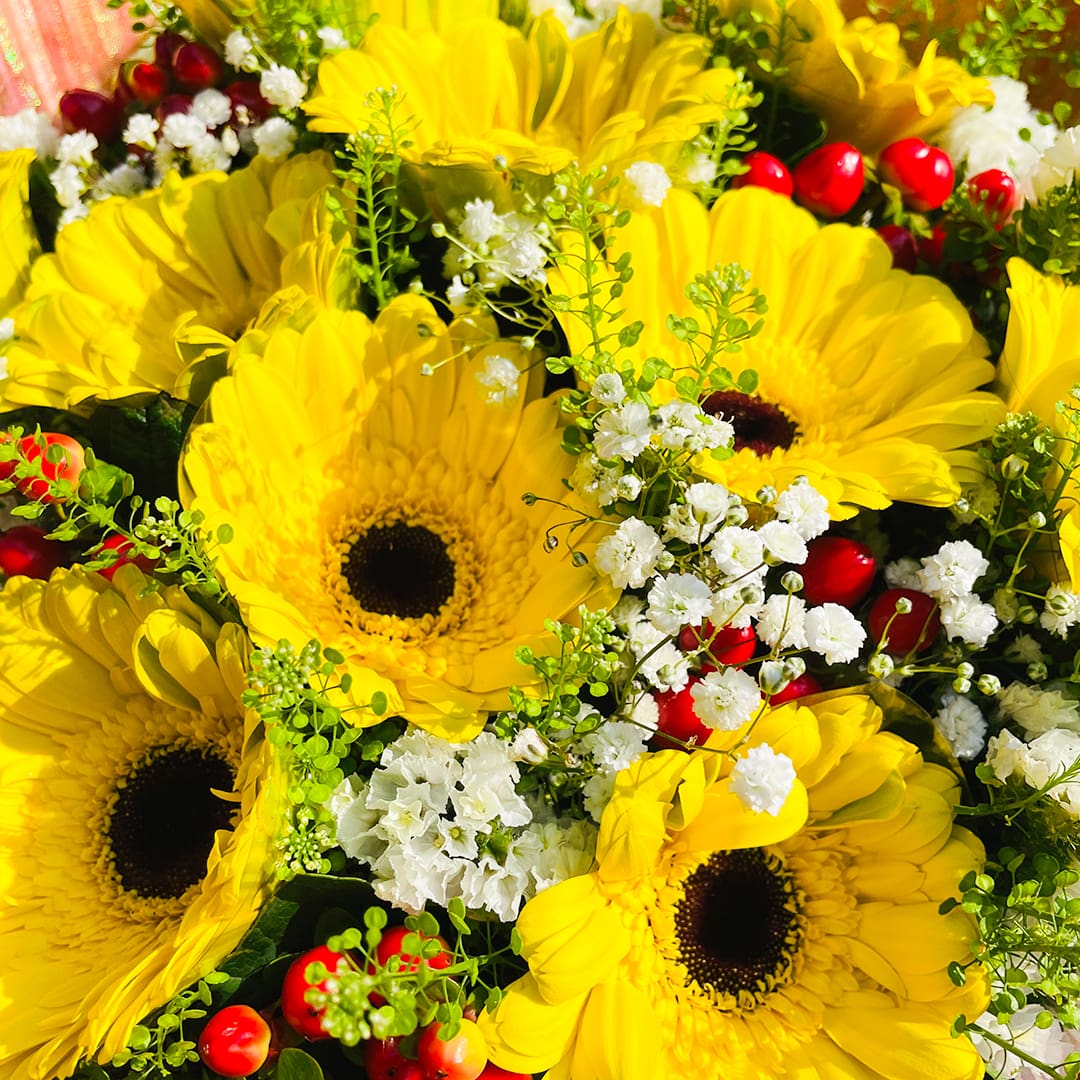 3 (222) send gerbera flowers in kl