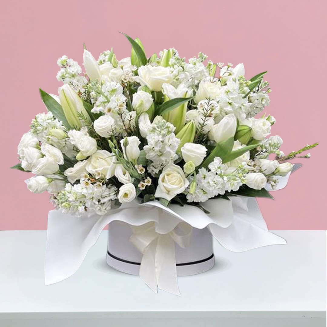 Whispers of White Luxurious Box-01-04-12-25 A round condolence box filled with white roses, tulips, lilies, and matthiola, elegantly arranged on a table.