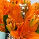 10-orange-lily-box_05
